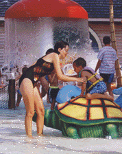 Perfect for family fun!